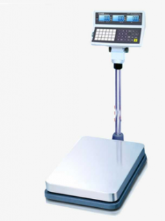 CAS ECB 40*50 İthal Sayıcı Baskül 60 Kg/5g
