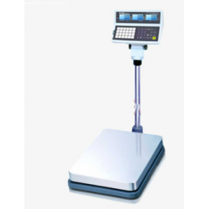 CAS ECB 40*50 İthal Sayıcı Baskül 60 Kg/5g